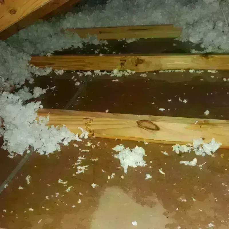 Attic Water Damage in Orange City, IA