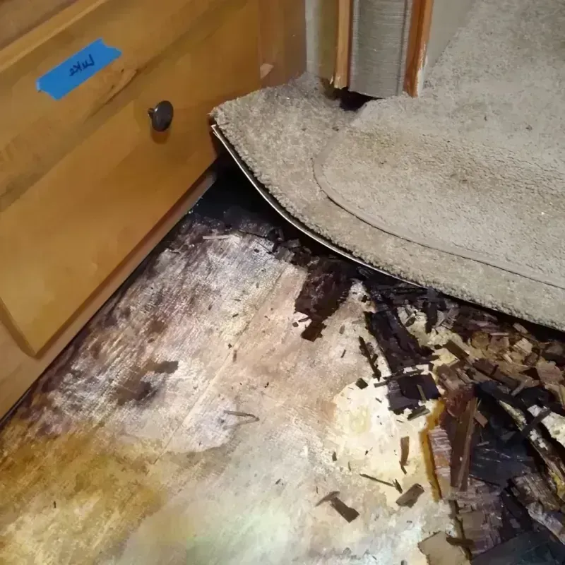 Best Wood Floor Water Damage Service in Orange City, IA